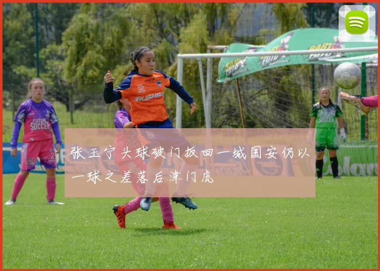 张玉宁头球破门扳回一城国安仍以一球之差落后津门虎