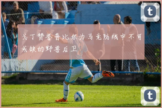 戈丁赞誉普比尔为马竞防线中不可或缺的野兽后卫